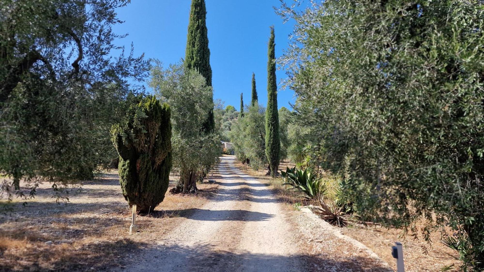 Le Fronde Vieste Exteriör bild